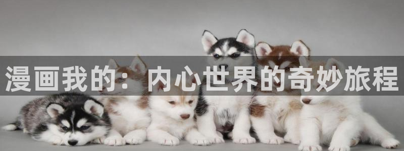 腐漫画网改名了吗